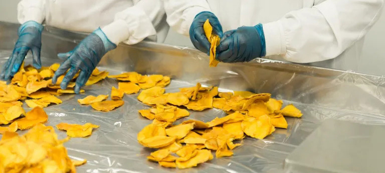 Highfield Level-03 Award in HACCP for Food Manufacturing